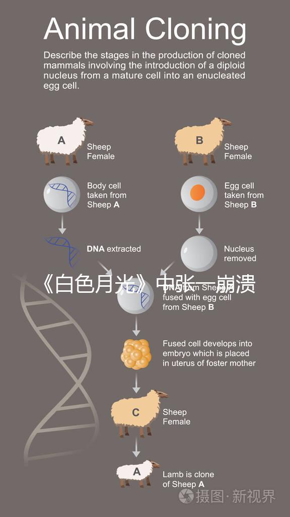 《白色月光》中張一崩潰在孩子面前哭，你認(rèn)為該不該？
