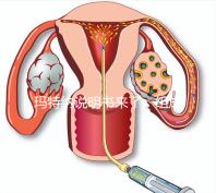 瑪特納說明書來了，組成成分、生產國家這都有