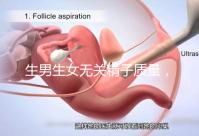 生男生女無關精子質量，分享成功懷男孩的4個細節經驗