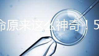 生命原來這么神奇!5個(gè)步驟詮釋胚胎培育的全過程