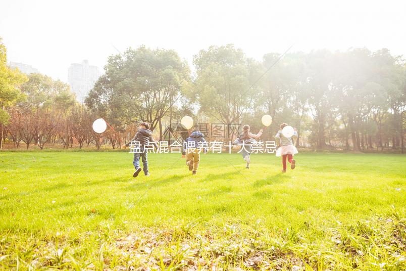 盤(pán)點(diǎn)混合喂養(yǎng)有十大禁忌!你能知道一頓母乳和一頓奶粉嗎?