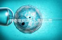 神奇塔羅牌占卜測胎兒性別解密，原來這些牌陣是男孩