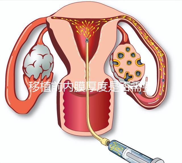 移植前內(nèi)膜厚度是否需要降調(diào),應注意什么速度