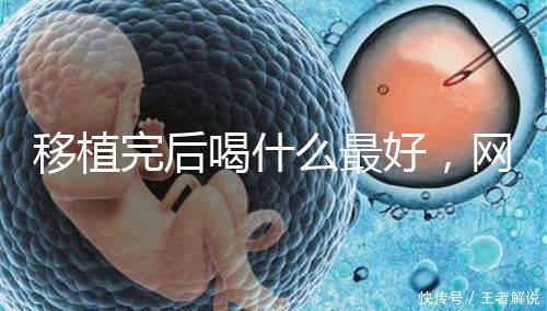 移植完后喝什么最好，網友推薦美味營養做法簡單大補湯