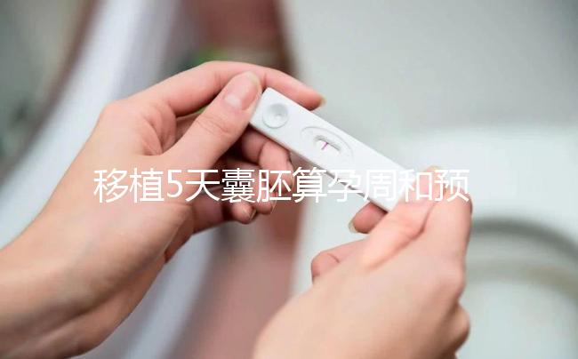 移植5天囊胚算孕周和預產期有訣竅，專家：用這2種方法