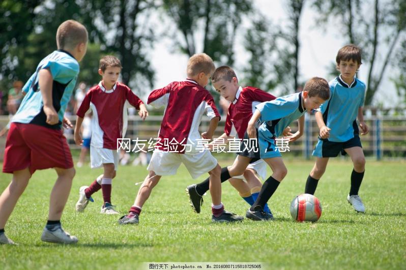 網友經驗分享最直觀，惠氏瑪特納好不好一覽了然