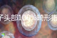 精子頭部100%畸形指數1.69，試管這條路還能通