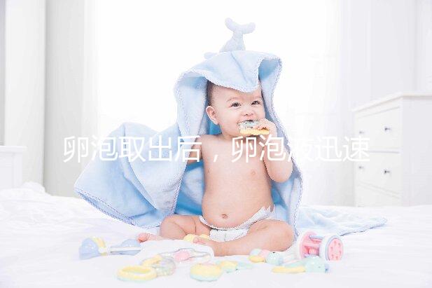 卵泡取出后，卵泡液迅速凝固異常發生了什么事