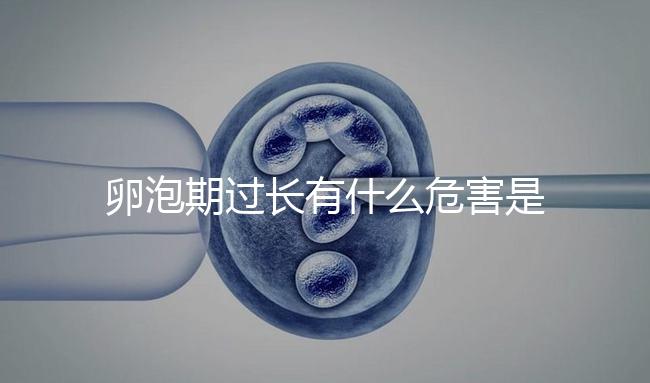 卵泡期過長有什么危害是否會(huì)影響懷孕