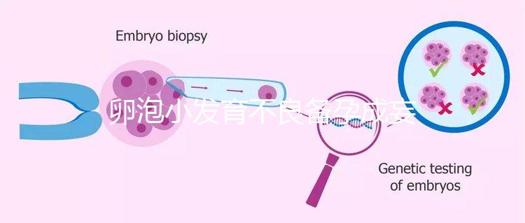 卵泡小發育不良備孕成妄想，閉鎖卵泡早檢查早治療