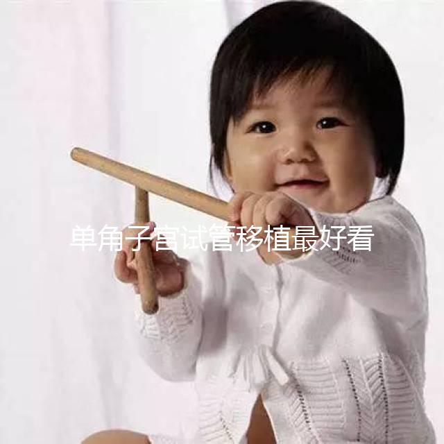 單角子宮試管移植最好看這個，兩個胚胎一目了然