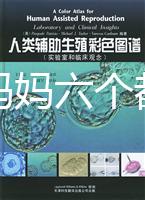 十個(gè)準(zhǔn)媽媽六個(gè)都貧血,別讓貧血傷害你的“好孕”!