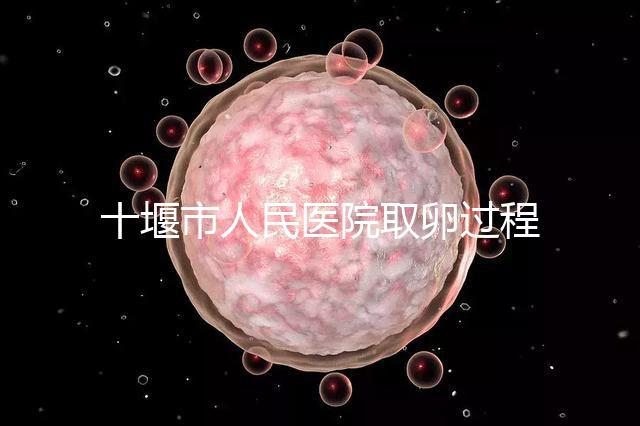 十堰市人民醫院取卵過程詳解，三種情況可全身麻醉