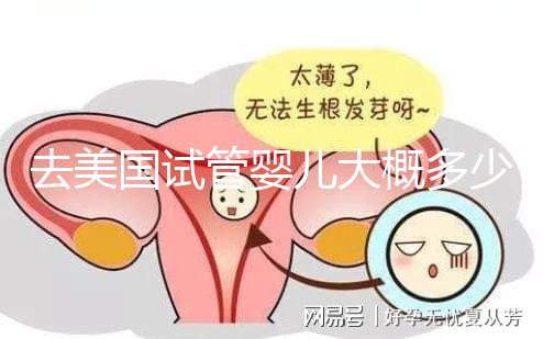 去美國試管嬰兒大概多少錢，省錢技巧有哪些必看