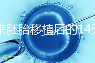 原來(lái)胚胎移植后的14天,這些信號(hào)預(yù)示著床成功