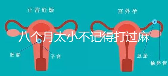 八個(gè)月太小不記得打過麻風(fēng)疫苗看這，2大反應(yīng)教你辨別