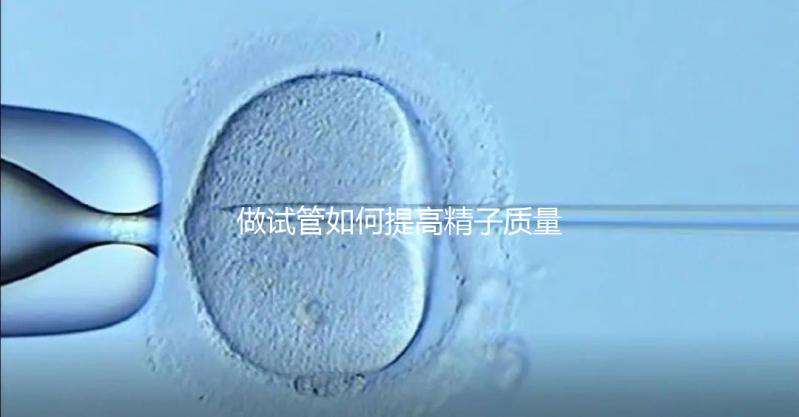 做試管如何提高精子質(zhì)量?五星推薦4個簡單小運動