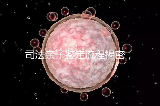 司法親子鑒定流程揭密,附準(zhǔn)備材料請一并參考