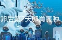 取卵后第2天卵巢囊腫，怎么能快速恢復？