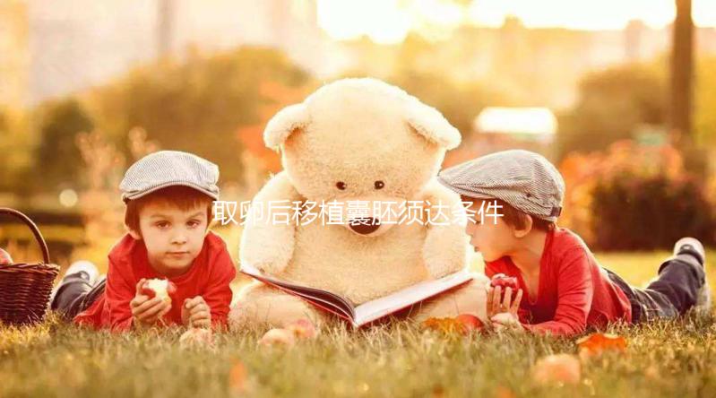 取卵后移植囊胚須達條件！至少要達到這3個標準