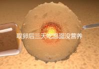 取卵后三天吃泡面沒營(yíng)養(yǎng)?3個(gè)小妙招“變廢為寶”