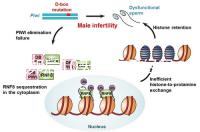 取卵后10天會來月經嗎？快拿小本本記好準確時間