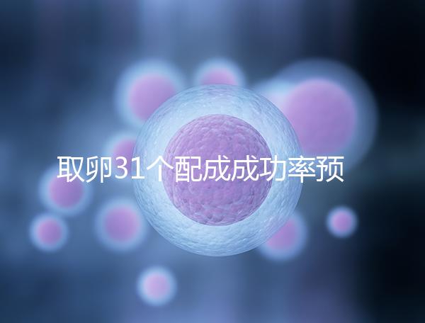 取卵31個配成成功率預測,鮮胚個數(shù)在這個范圍都有希望