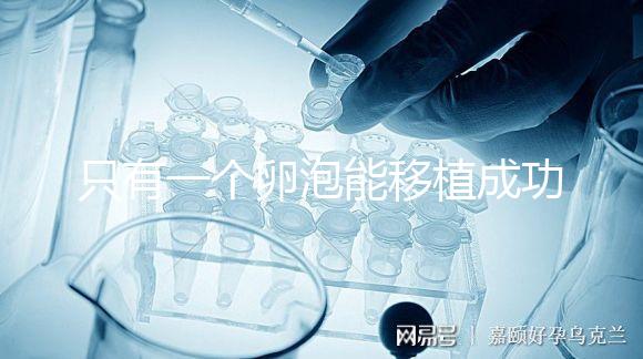 只有一個(gè)卵泡能移植成功嗎?別擔(dān)心!過(guò)來(lái)人告訴你好孕并不難