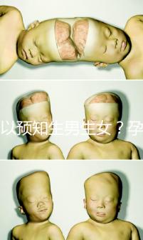 可以預(yù)知生男生女?孕婦夢(mèng)見馬的胎夢(mèng)解讀