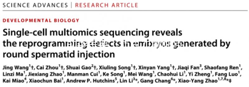 助孕寶典：巧克力囊腫與試管嬰兒成功率的關(guān)系解析