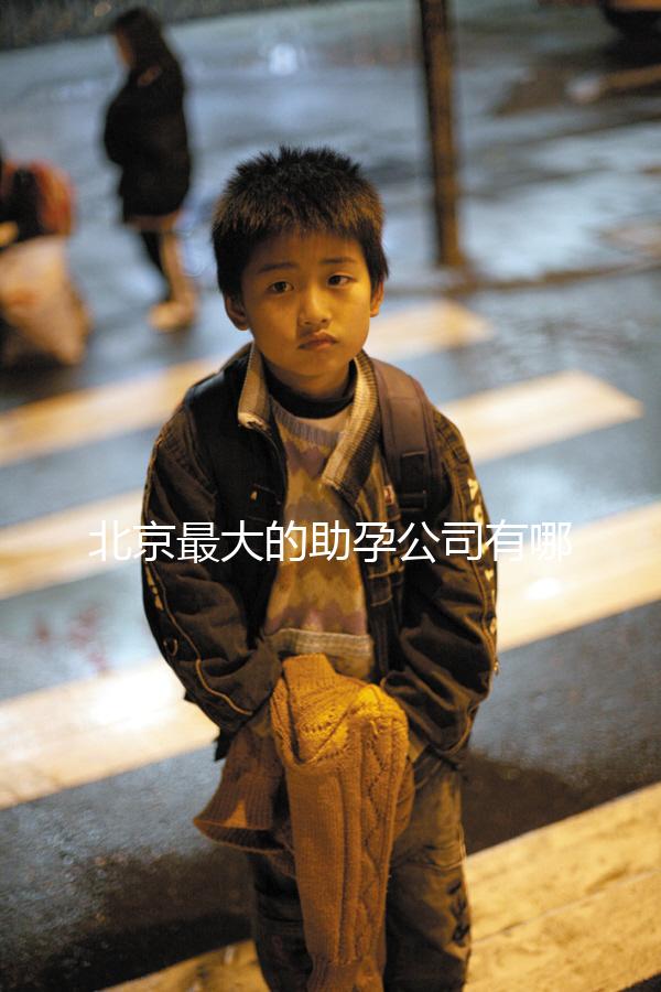 北京最大的助孕公司有哪些，是合法的嗎？