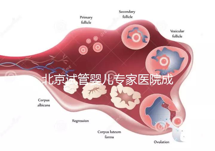 北京試管嬰兒專家醫院成功率高嗎，醫院推薦與費用解析
