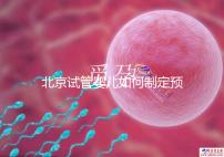 北京試管嬰兒如何制定預(yù)算,費(fèi)用解析必看