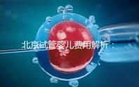 北京試管嬰兒費(fèi)用解析:詳細(xì)了解醫(yī)院收費(fèi)標(biāo)準(zhǔn)及套餐費(fèi)用