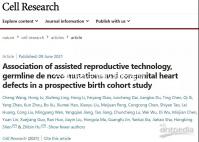 分享成都試管雙胞胎醫(yī)院排名表,2024年溫江哪個好看就知道了