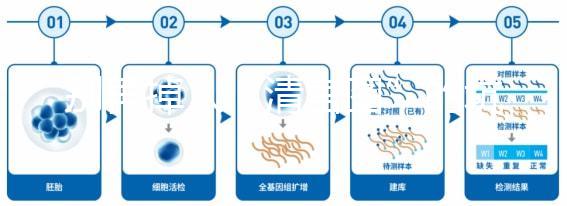 別再掉入“清宮圖”的坑中！備孕不應錯過女性最佳生育年齡