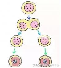 別再混淆著床和快來例假了，除了出血量還有這些區(qū)別