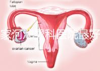 哪家河池男科醫院最好快速收藏,金城江區最有名的就在這里