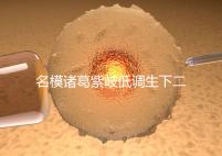 名模諸葛紫岐低調生下二胎，孕7個月肚子扁平成焦點