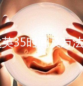 吃達英35時間及方法:治療月經不調需連吃63天