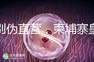 告別偽直營,柬埔寨皇家生殖遺傳醫院RFG中國辦事處指南