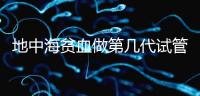 地中海貧血做第幾代試管嬰兒？要看看地貧的表現型