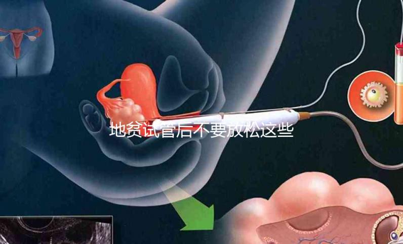 地貧試管后不要放松這些注意事項，不健康的飲食要小心，以前所有的工作都要放棄