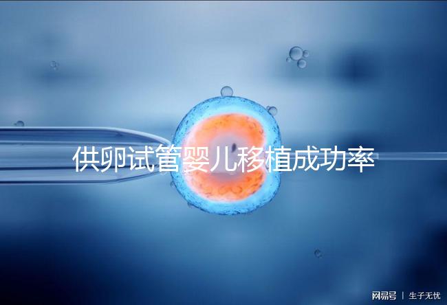 供卵試管嬰兒移植成功率高,一次就能成?很多人都被坑過