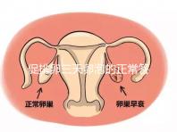 促排卵三天卵泡的正常答案是什么?取出8毫米卵原細胞的時間
