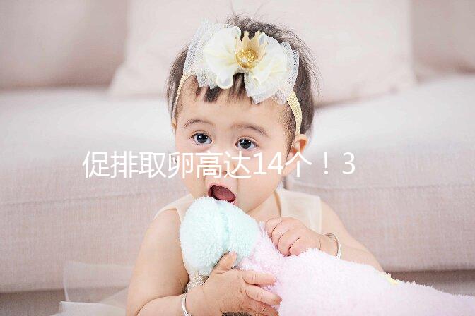 促排取卵高達14個！35歲做試管嬰兒取卵多個正常？