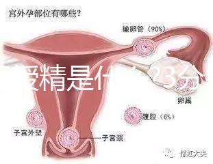 人工授精是什么?3分鐘讀完這篇文章,解答你所有疑問
