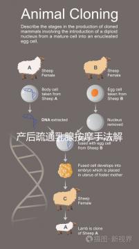 產(chǎn)后疏通乳腺按摩手法解密，不用吸奶器輕松搞定堵奶、奶結(jié)
