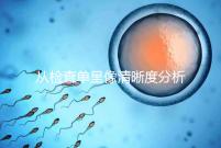 從檢查單呈像清晰度分析，二維彩超和nt赤裸裸的區別