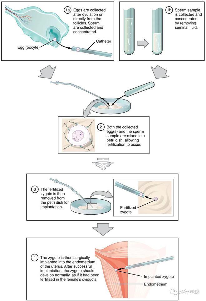不知欽州哪家男科醫(yī)院好戳,機構能不能一目了然